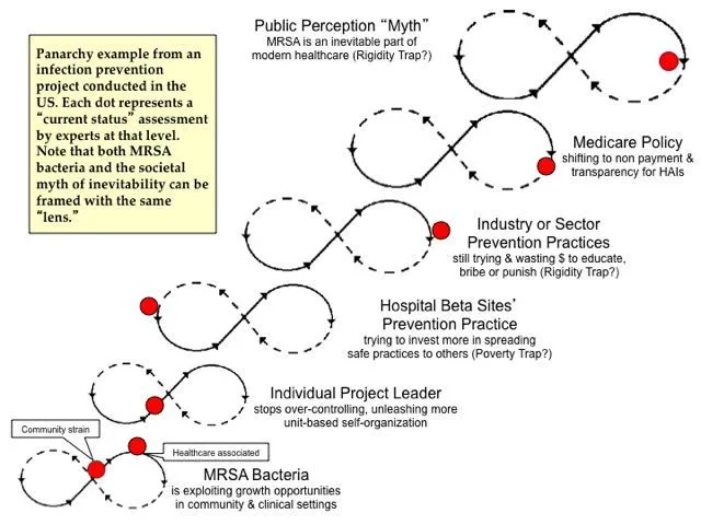 A Panarchy example from an infection-prevention project: stacked figure-eight loops from the bacteria level to public perception, with red dots marking the current status at each level.